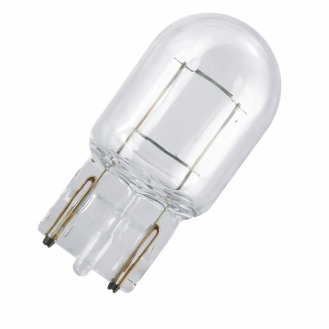 BOMBILLA GRANDE DE PESCADO TODA DE VIDRIO 1 CONT. BLITZ